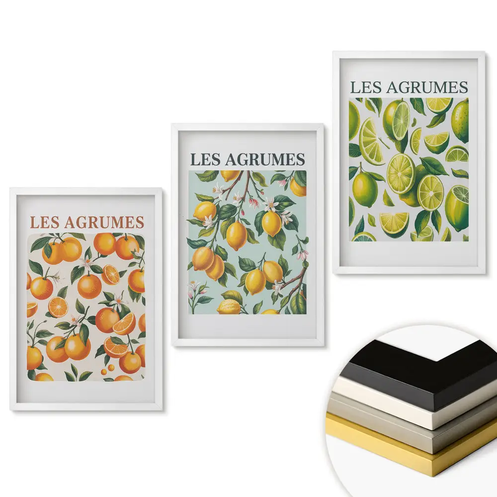 Triptych v ráme Citrusové ovocie v farebných ilustráciách