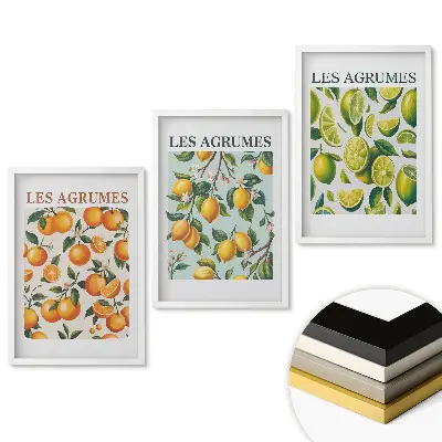 Triptych v ráme Citrusové ovocie v farebných ilustráciách