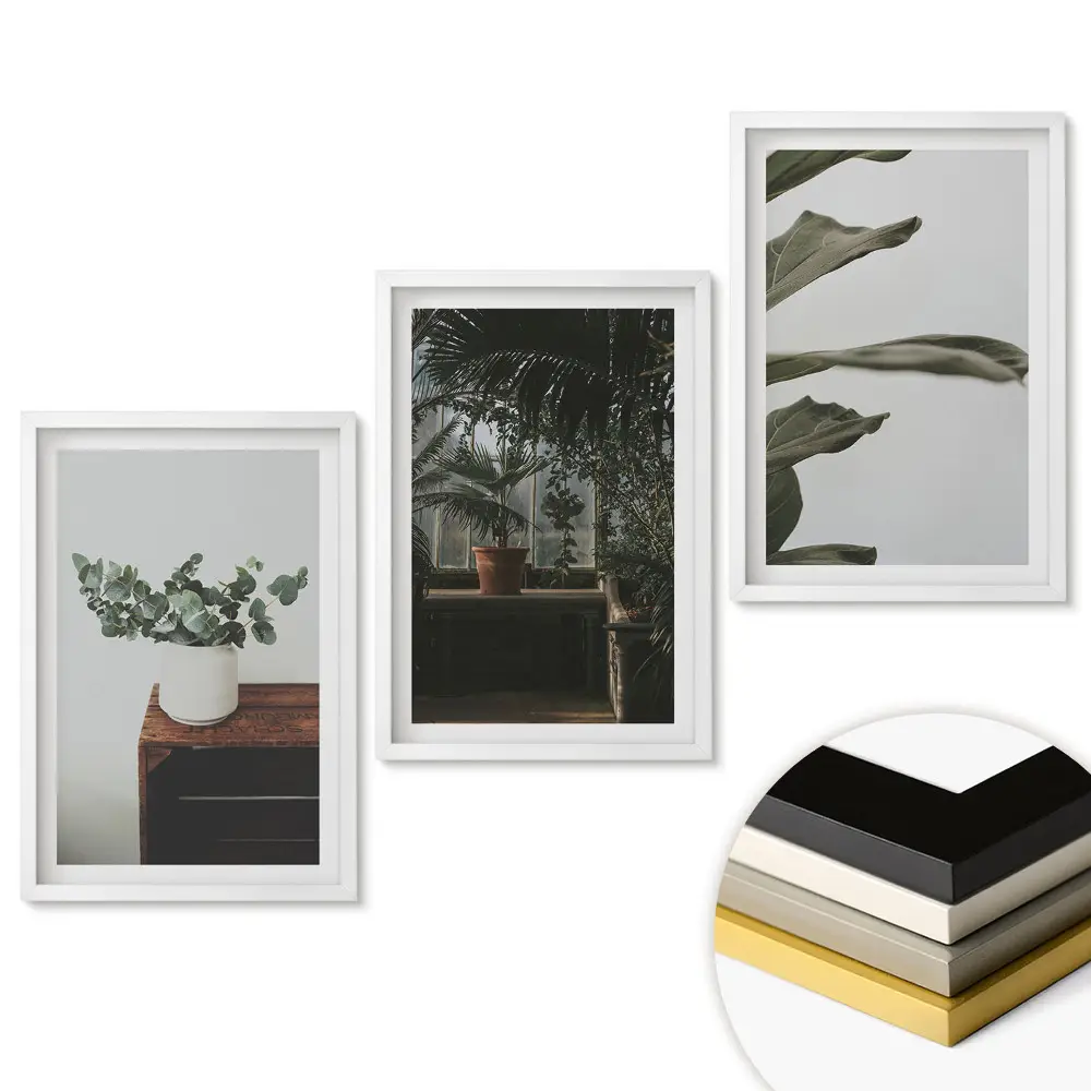 Triptych rastliny v modernom interiéri v ráme