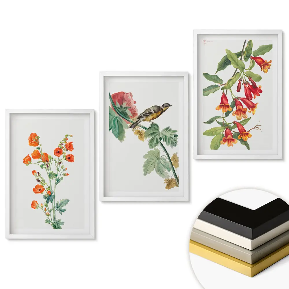 Triptych v ráme Farebné kvety a vtáky v prírode