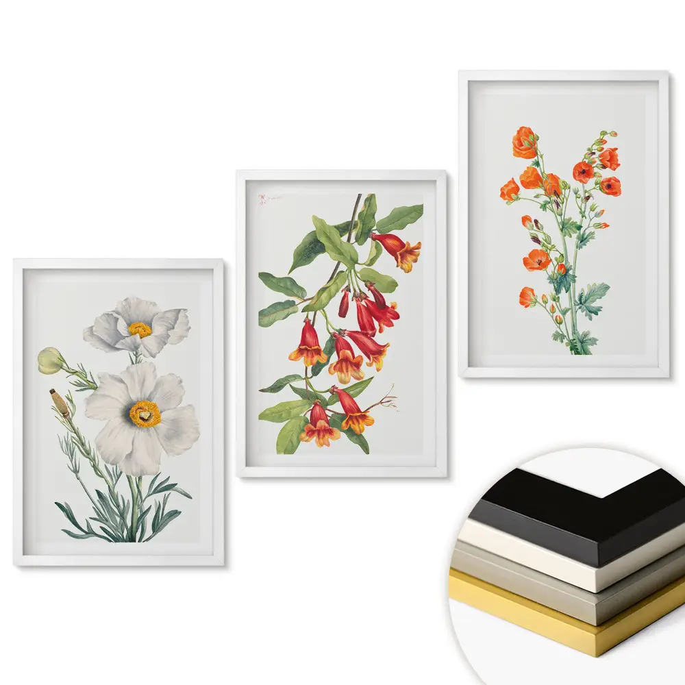 Triptych Kvetinové inšpirácie v jemných ilustráciách v ráme