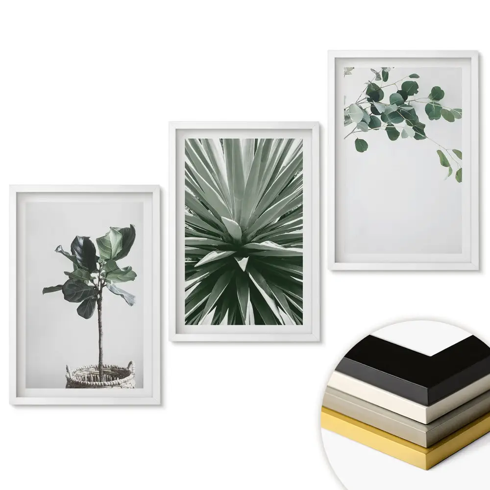 Triptych v ráme Inšpirácie rastlinami v minimalistickom štýle