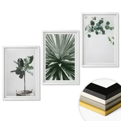 Triptych v ráme Inšpirácie rastlinami v minimalistickom štýle